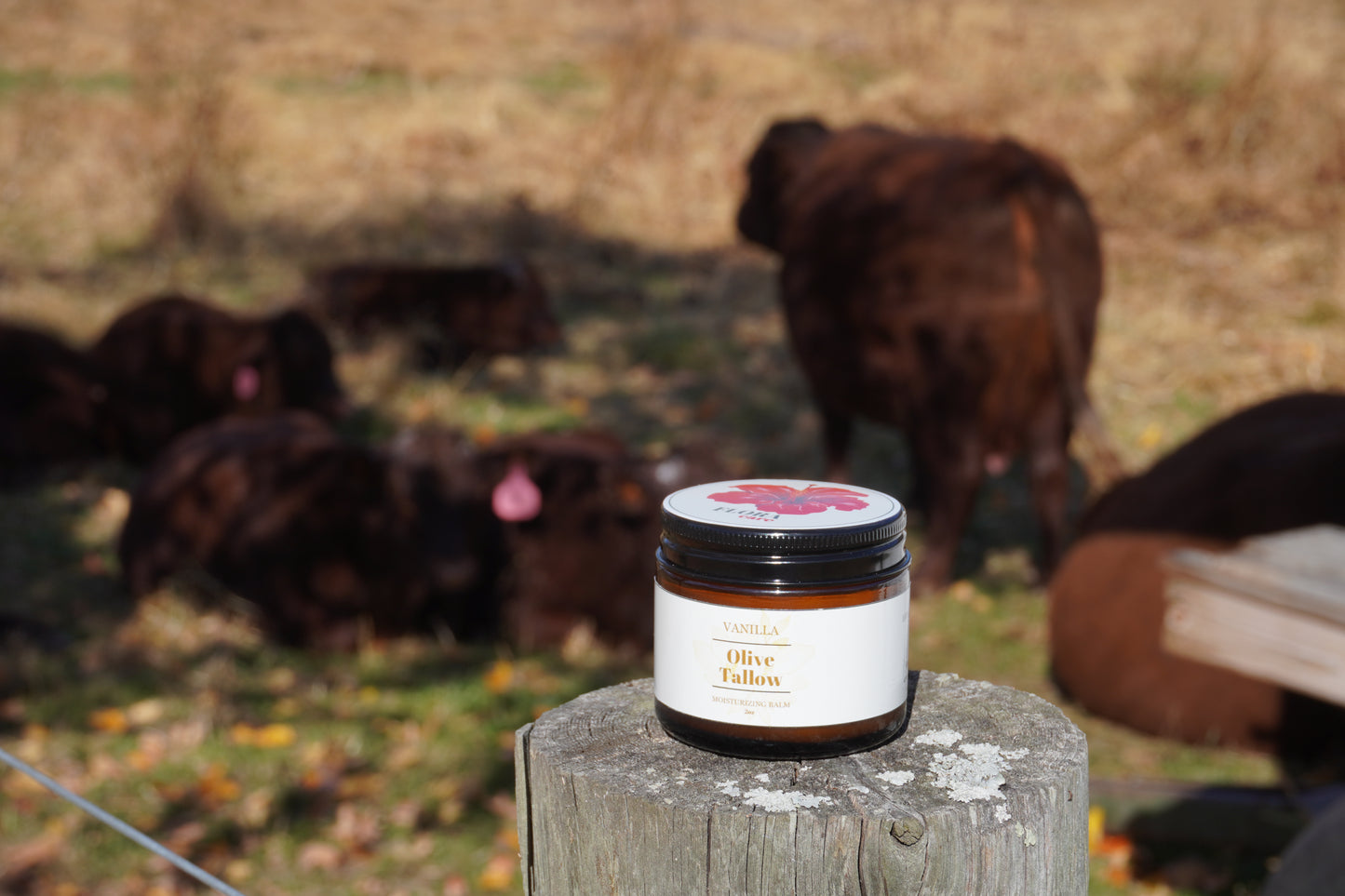100% Grass-Fed Beef Tallow Face Moisturizer - Natural Organic Skin Care with Lemon and Vanilla Essential Oil - Nourishing 2oz Balm with Olive Oil & Beeswax for Sensitive Skin, Hands & Lips